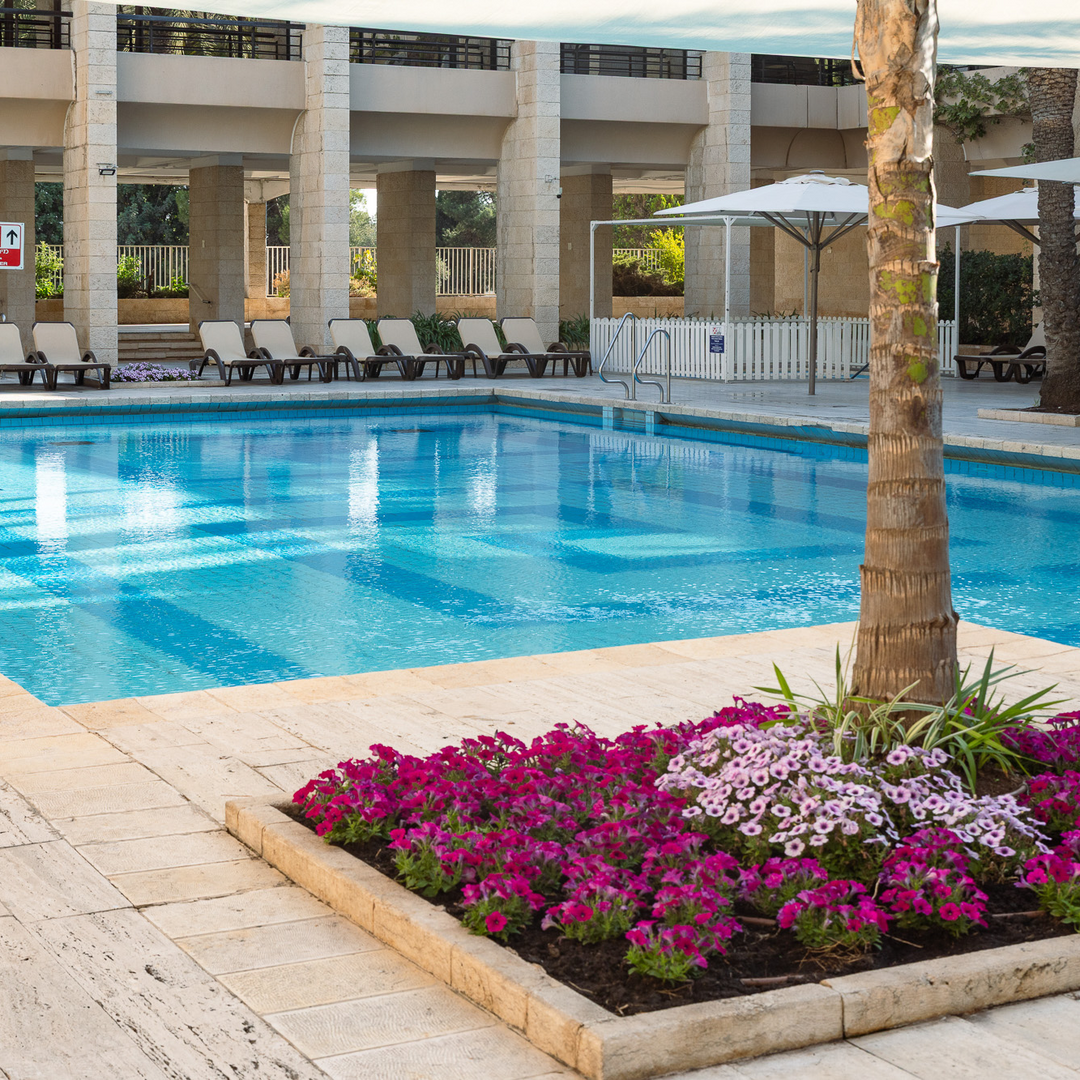 🆕 חבילות ספא ליחיד במלון DAN ירושלים